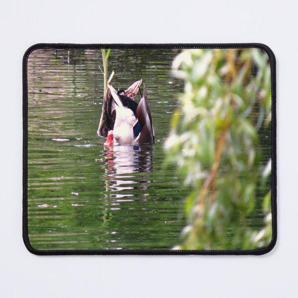 Item preview, Bobbing Duck Willow - Photograph designed and sold by GenAumonier.