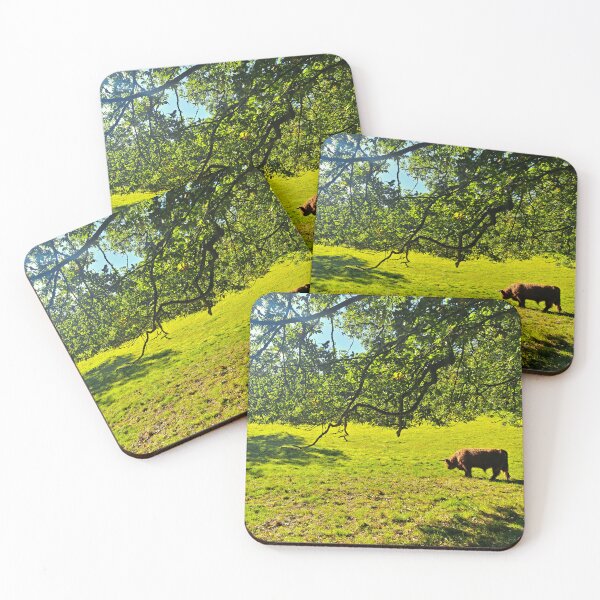 Item preview,  Coos Grazing in the Sun - Photograph designed and sold by GenAumonier.