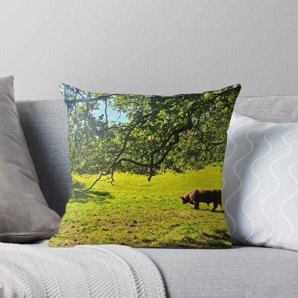 Item preview,  Coos Grazing in the Sun - Photograph designed and sold by GenAumonier.