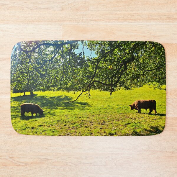 Item preview,  Coos Grazing in the Sun - Photograph designed and sold by GenAumonier.