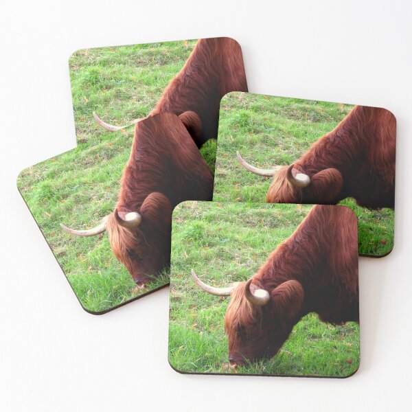 Item preview,  Grazing Highland Coo - Photograph designed and sold by GenAumonier.