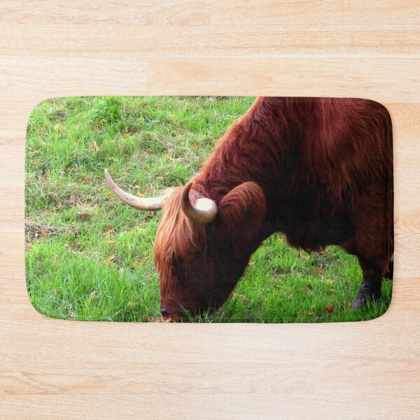 Item preview,  Grazing Highland Coo - Photograph designed and sold by GenAumonier.