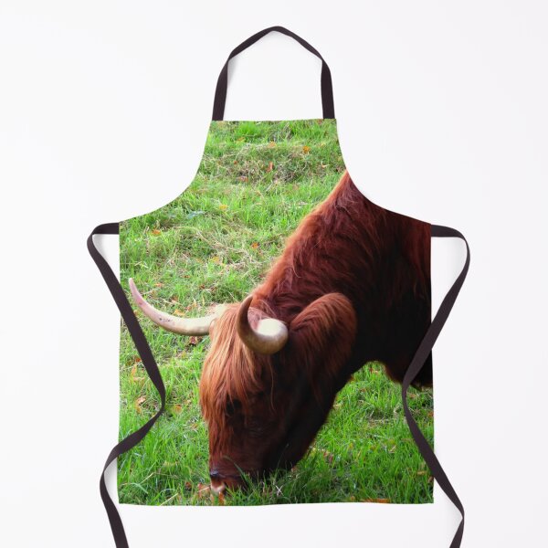 Item preview,  Grazing Highland Coo - Photograph designed and sold by GenAumonier.