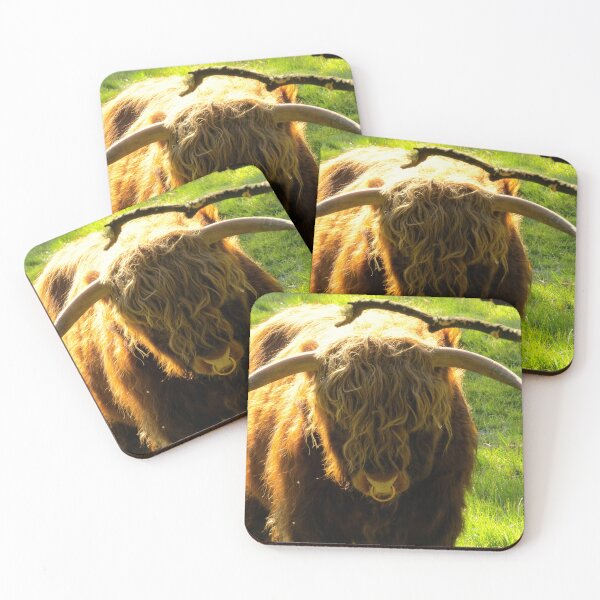 Item preview, Highland Bull in the Sun - Photograph designed and sold by GenAumonier.