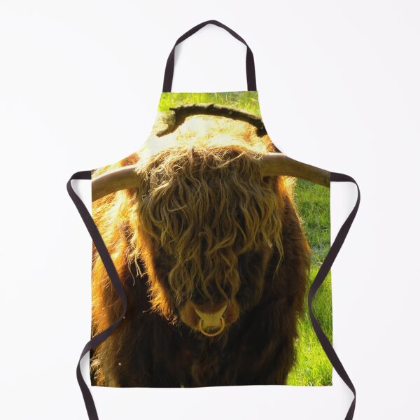 Item preview, Highland Bull in the Sun - Photograph designed and sold by GenAumonier.