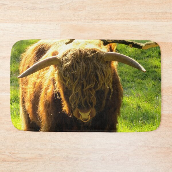 Item preview, Highland Bull in the Sun - Photograph designed and sold by GenAumonier.