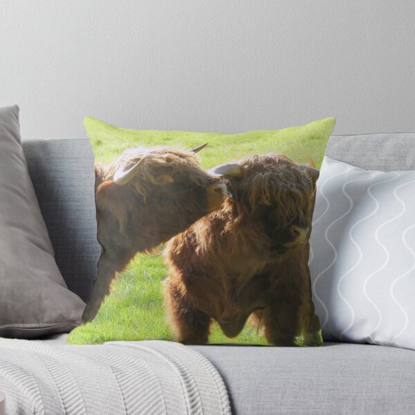 Item preview, Highland Bulls - Photograph designed and sold by GenAumonier.