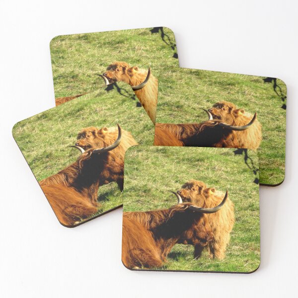 Item preview, Highland Coo and Calf I - Photograph designed and sold by GenAumonier.