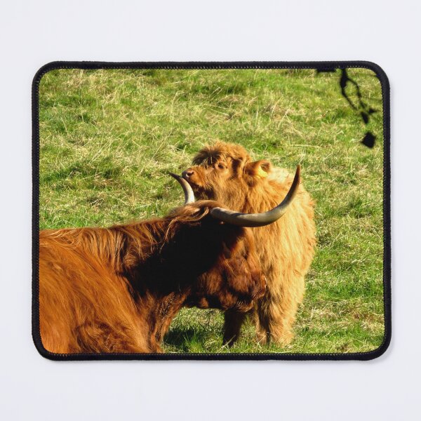 Item preview, Highland Coo and Calf I - Photograph designed and sold by GenAumonier.
