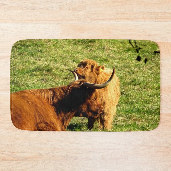 Item preview, Highland Coo and Calf I - Photograph designed and sold by GenAumonier.
