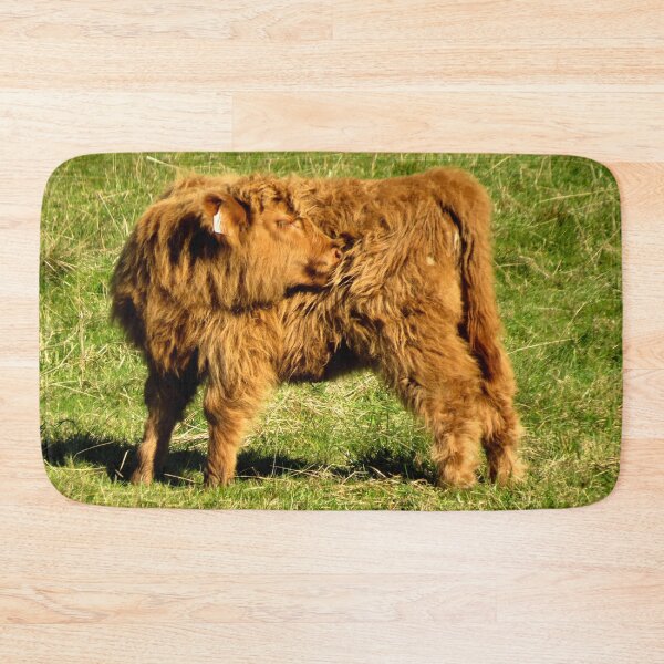 Item preview, Little Highland Calf II - Photograph designed and sold by GenAumonier.