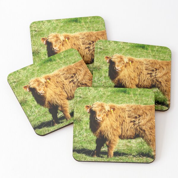 Item preview, Little Highland Calf II - Photograph designed and sold by GenAumonier.