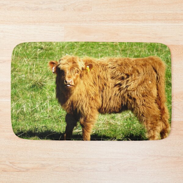 Item preview, Little Highland Calf II - Photograph designed and sold by GenAumonier.