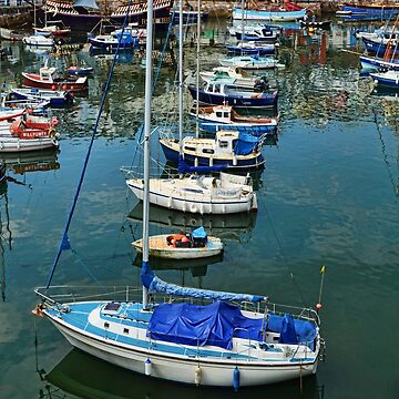 Artwork thumbnail, Brixham harbour by Frank Irwin