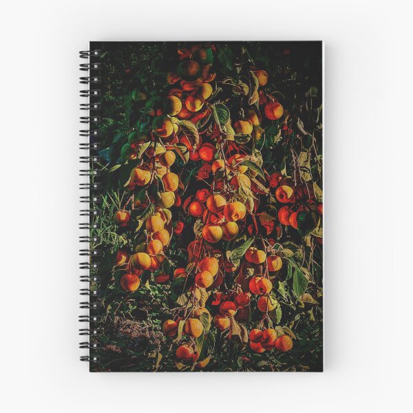 Item preview, Fully Loaded designed and sold by Steve Walser.