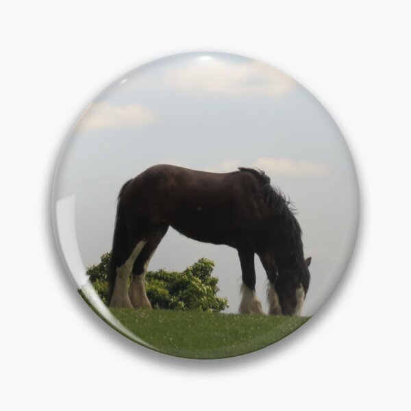 Item preview, Grazing in High Bradfield - Photograph designed and sold by GenAumonier.