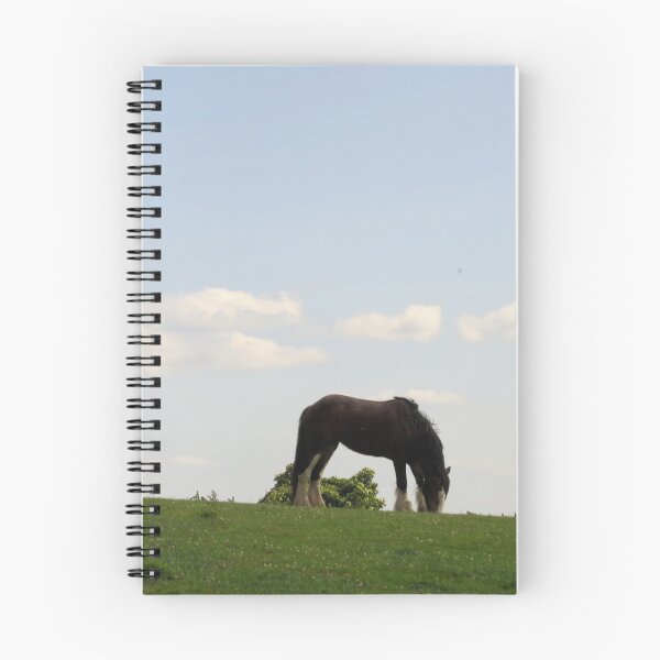 Item preview, Grazing in High Bradfield - Photograph designed and sold by GenAumonier.