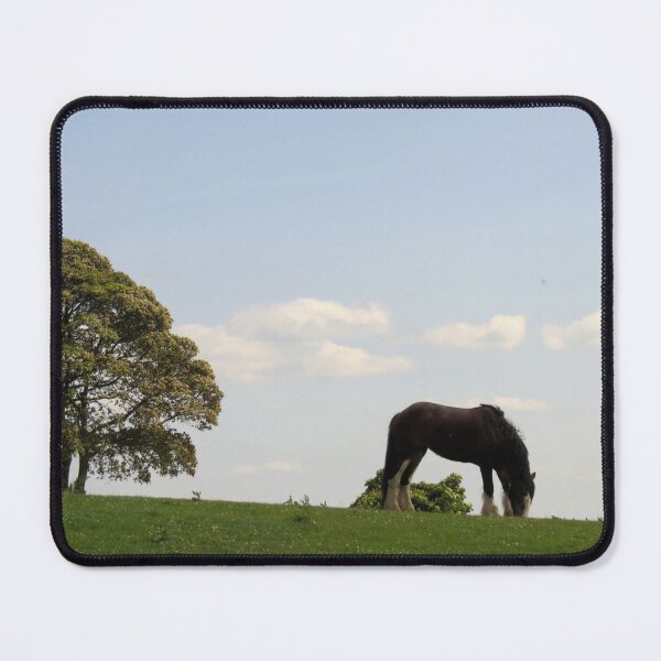 Item preview, Grazing in High Bradfield - Photograph designed and sold by GenAumonier.