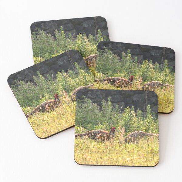 Item preview, Pheasants in the Grass - Photograph designed and sold by GenAumonier.