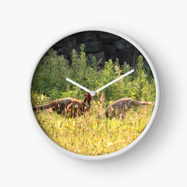 Item preview, Pheasants in the Grass - Photograph designed and sold by GenAumonier.
