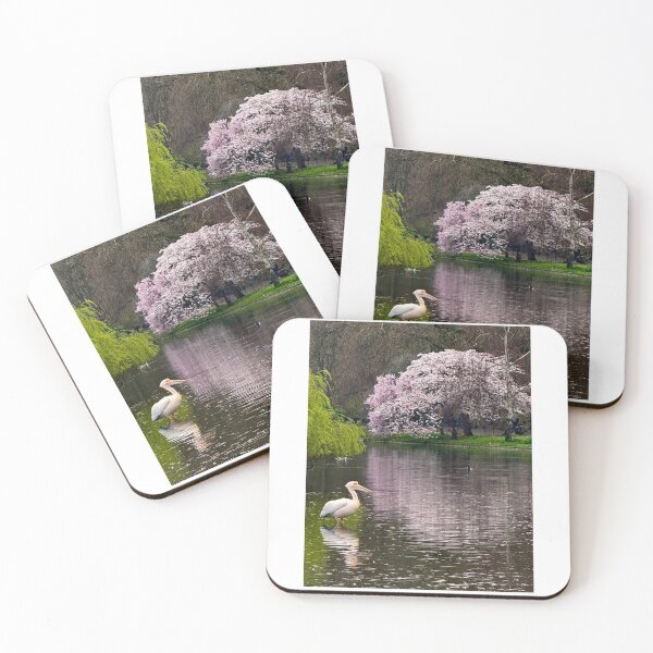 Item preview, Pelicans of St James’s Park London. Pelican in Reflection designed and sold by The Running London Photographer.