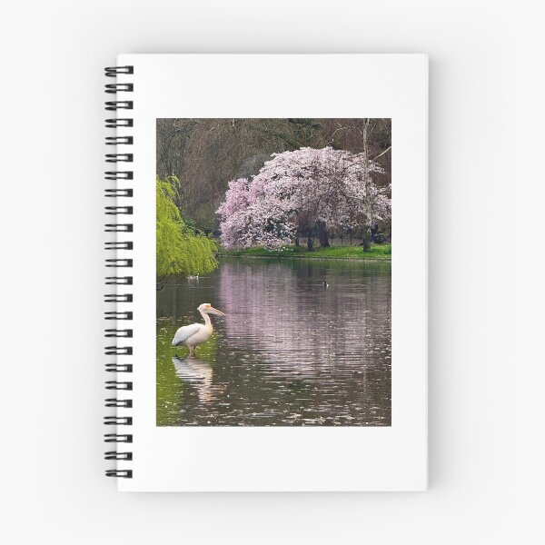Item preview, Pelicans of St James’s Park London. Pelican in Reflection designed and sold by The Running London Photographer.