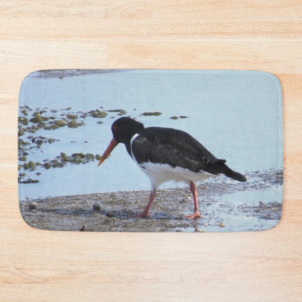 Item preview, Oystercatcher on the Beach I designed and sold by GenAumonier.
