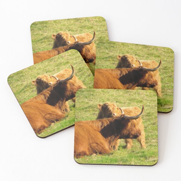 Item preview, Highland Coo and Calf II - Photograph designed and sold by GenAumonier.