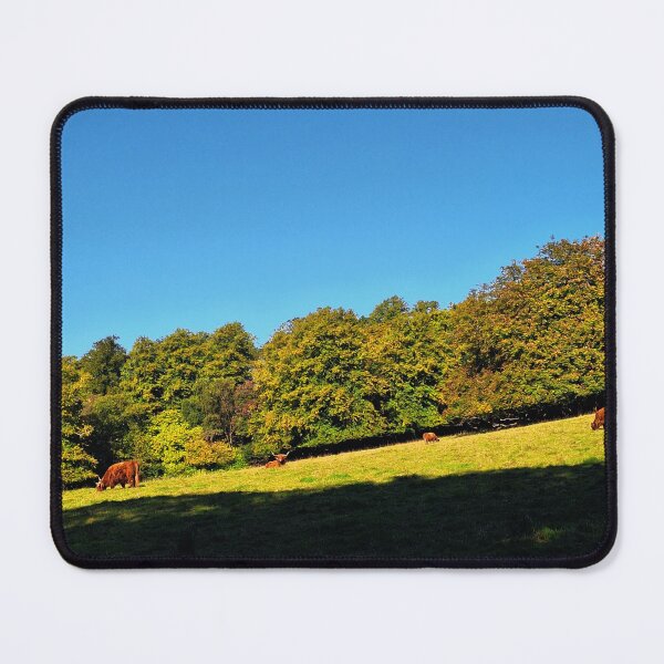 Item preview, Highland Cows on the Hill - Photograph designed and sold by GenAumonier.