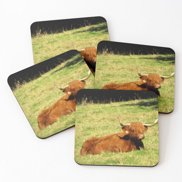 Item preview, Resting Highland Coo - Photograph designed and sold by GenAumonier.