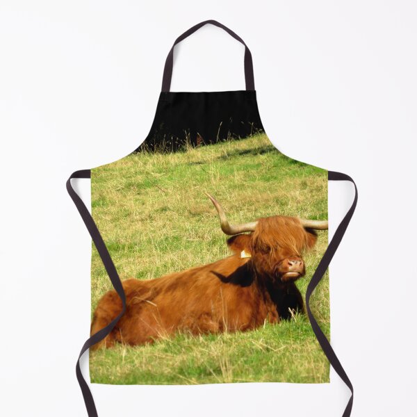 Item preview, Resting Highland Coo - Photograph designed and sold by GenAumonier.