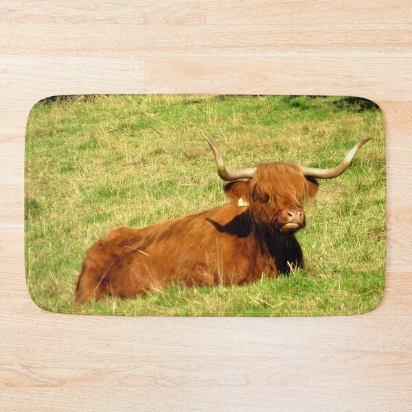 Item preview, Resting Highland Coo - Photograph designed and sold by GenAumonier.