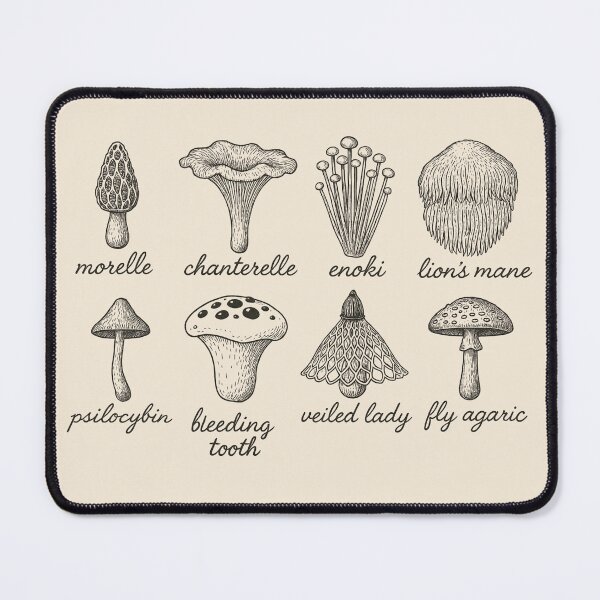 Item preview, Mushroom Species Chart – Vintage Fungi Print designed and sold by Wand-and-Root.