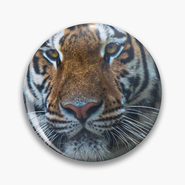 Item preview, Tiger time designed and sold by AUTOSHOTZ.