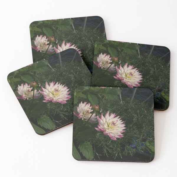 Item preview, Pair of dahlias designed and sold by Andymat99.