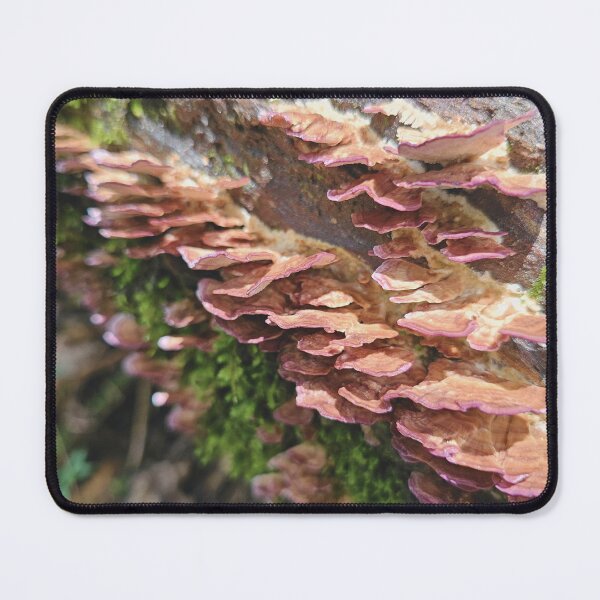 Item preview, Fairy Stool designed and sold by Luka-and-Lux-Co.