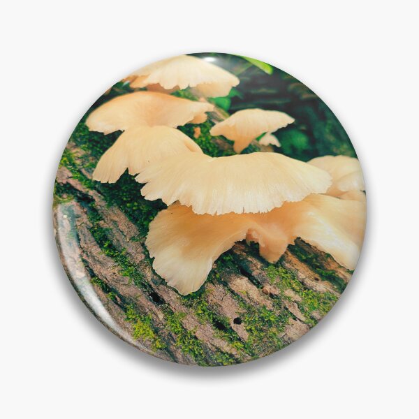 Item preview, Oyster Haven designed and sold by Luka-and-Lux-Co.