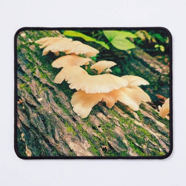 Item preview, Oyster Haven designed and sold by Luka-and-Lux-Co.