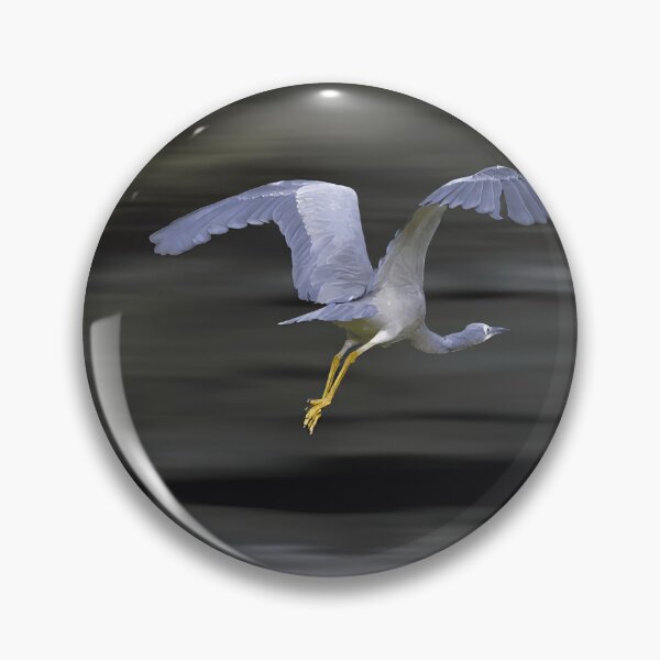 Item preview, A White Faced Herons flying over the flooding weir designed and sold by PixSL Photography and Photo Art.
