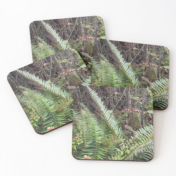 Item preview, Coastal Forest Serenity with Ferns designed and sold by PEACELOVERSART.