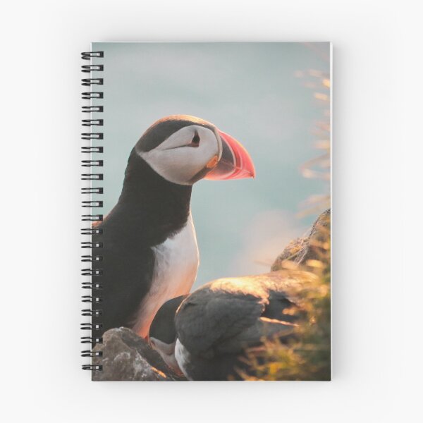 Item preview, Icelandic Puffin designed and sold by RootsofVanadis.