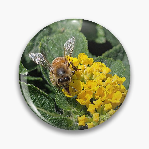 Item preview, Drink of Nectar designed and sold by Betsy Phillips.