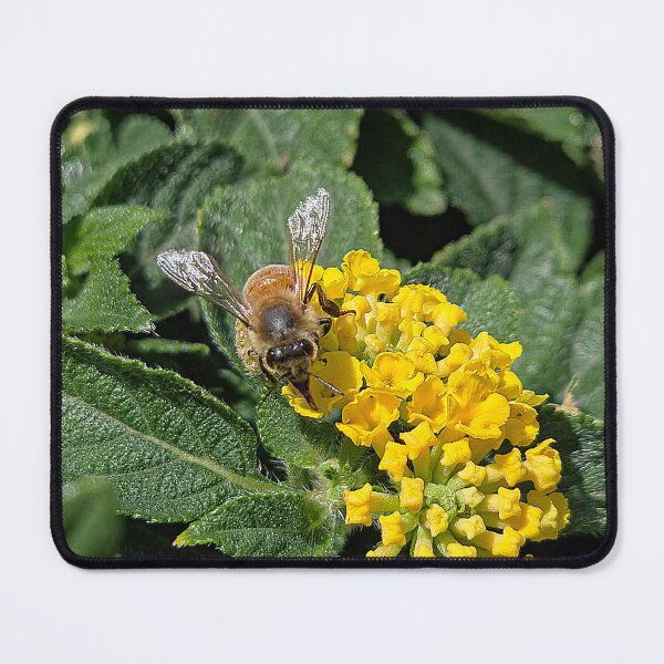 Item preview, Drink of Nectar designed and sold by Betsy Phillips.