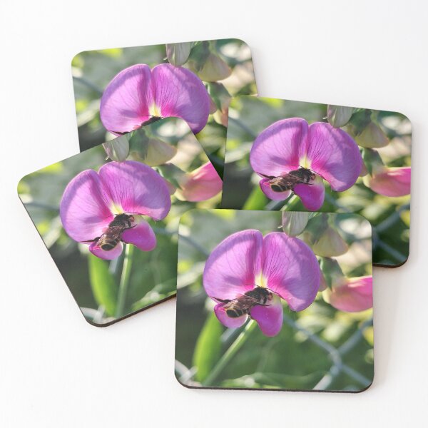 Item preview, Breakfast of Sunshine designed and sold by SCTBUFFALOPHOTO.
