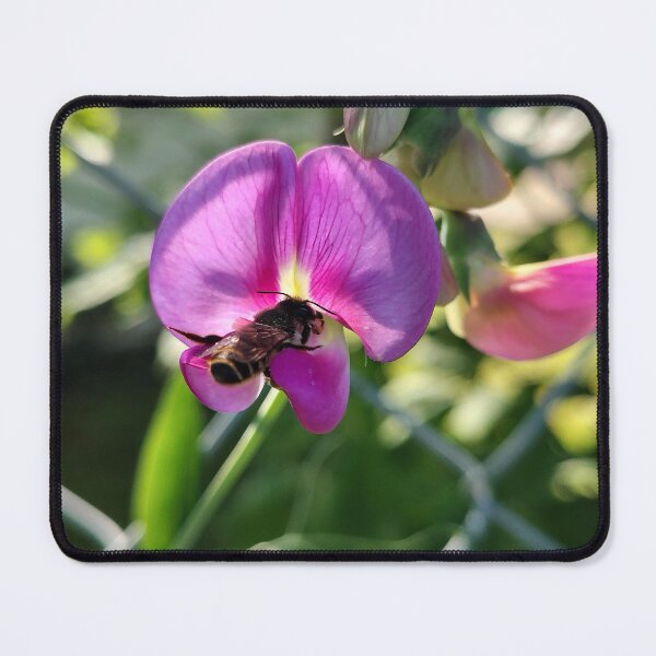 Item preview, Breakfast of Sunshine designed and sold by SCTBUFFALOPHOTO.