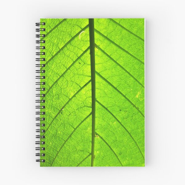 Item preview, Leaf Canopy designed and sold by DF Textures.