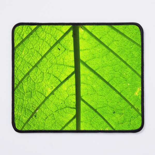 Item preview, Leaf Canopy designed and sold by DF Textures.