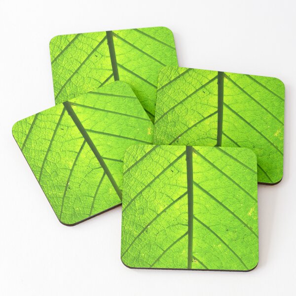 Item preview, Leaf Canopy designed and sold by DF Textures.