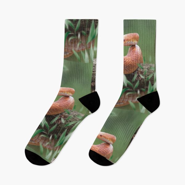 Item preview, Colored-headed Snake designed and sold by Róger Arrieta.