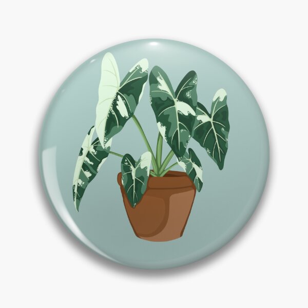 Item preview, Alocasia Frydek designed and sold by Atlasthesnake.